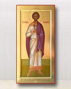 Икона «Емилиан мученик» Зарайск